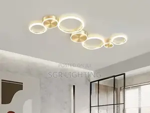 Modern Led Ceiling Chandelier and Aluminum Ceiling Lamp