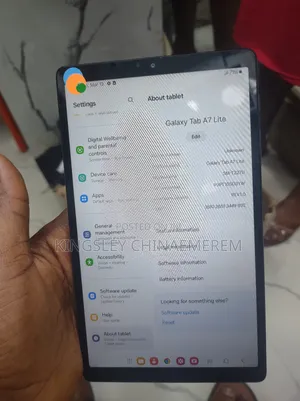Samsung Galaxy Tab A7 Lite 32 GB Gray