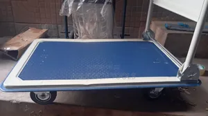 300kg Flat Truck