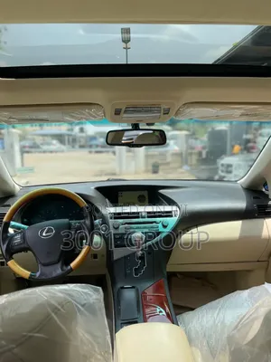 Lexus RX 2010 Gray