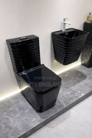 Black Water Closet Toilet Seat + Wall Hung Washbasin