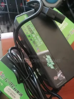 Electric Bike Charcher and I Have All Kind of Electric Bike Charger