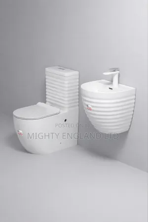 Zibra White Elite Executive Water Closet Toilet Wall-Hung Basin Set