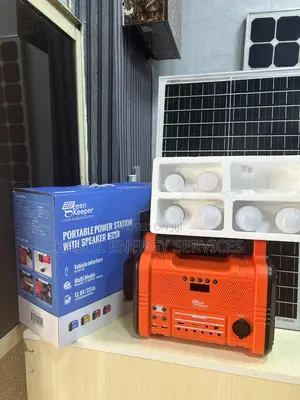 300w Solar Generator With Multiple Bulbs And Panels
