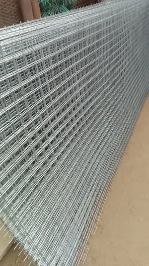 Mesh Wire Galvanized 4ftx12ftx1mm