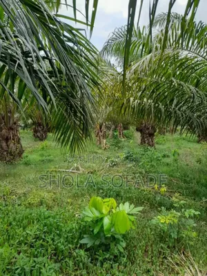 Land With C of O, Register Survey