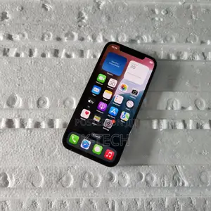 Apple iPhone 12 Pro 256 GB Gray