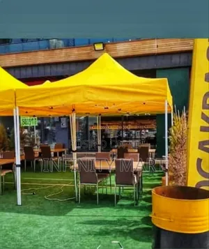 10 X 10 Canopy