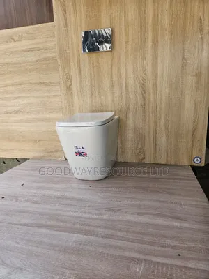 Wall Hung Water Closets