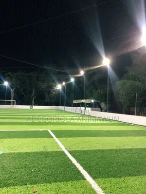 Football Pitch Artificial Grass (Double Colour Stadium Style)