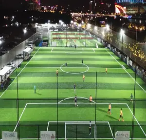 Stadium Style Double Colour Football Artificial Grass