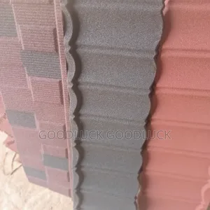 Mango Stone Coated