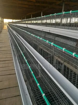Life Battery Cages
