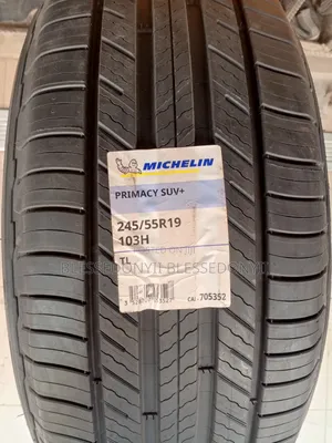 245/55/19 Micheline