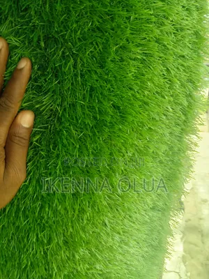 25mm Artificial Carpet