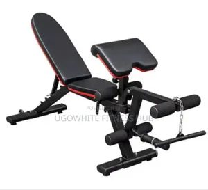 Adjustable Dumbbell Weight Bench