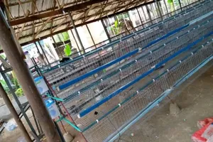 World Wide Battery Cages
