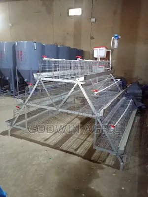 120 Birds Capacity Cage