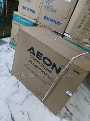 Aeon 250l Your Frozen Food Guardian