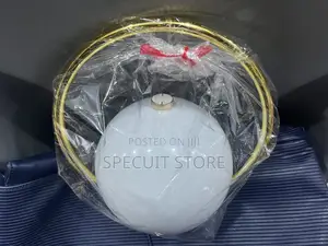 Globe Purse — Sky White