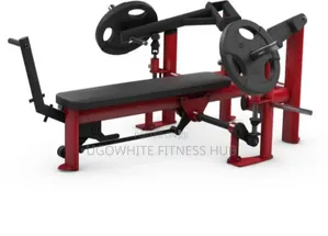 Gym80 Pure Kraft Plate Loaded Decline Bench Press