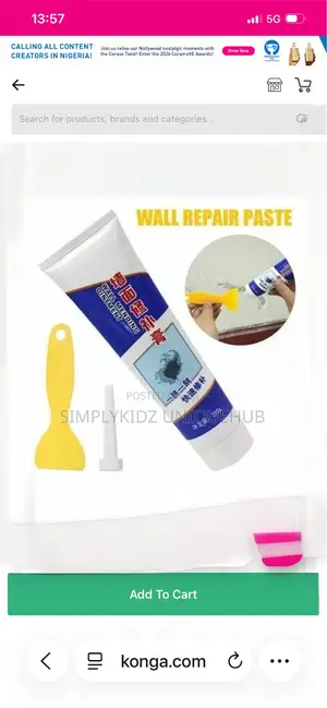 Wall Crack Repair Agent Paste - 250ml