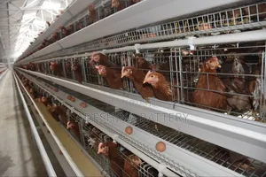 Imported Cages