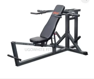 Bodymax Cf666 Multi-Press Lever Bench,