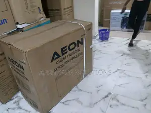 Aeon 250l The Freezer That Protects Your Food