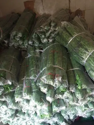 Long Flower Mat Available in Wholesale