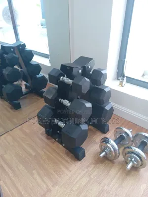3pairs Dumbbell Capacity Rack Without Dumbbells