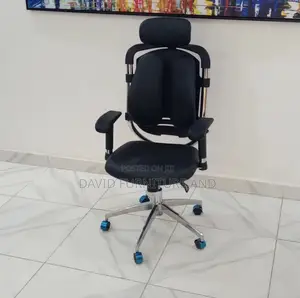 Modern Ergonomic Office Chair(Kidney Shape)