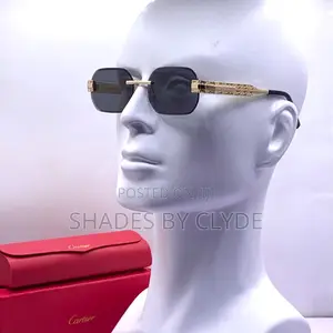 Stunning Cartier Sunglasses - Blue Tint, Authentic, New!