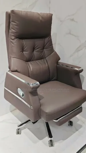 Executive Ergonomic Office Chair