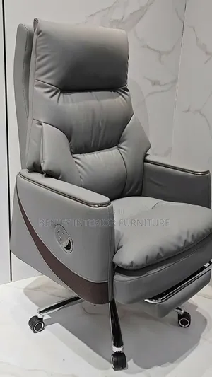 Executive Ergonomic Office Chair