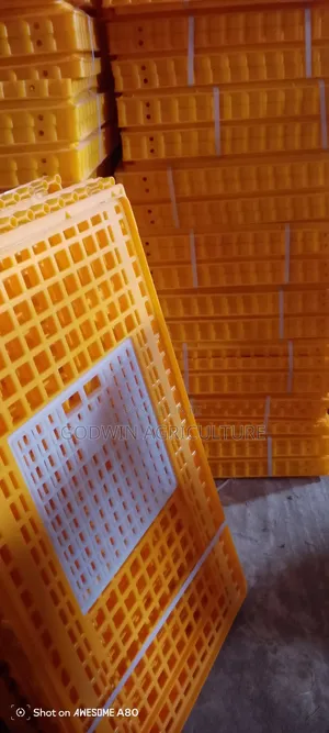 First Hand Birds Transport Crates