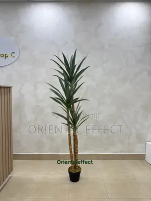 Artificial Slim Yucca Plant (160cm) Modern Indoor Home Office Decor