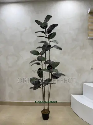 Black Ficus Artificial Plant (180cm) Luxury Indoor Home Office Decor