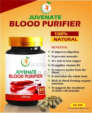Blood Purifier