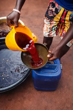 Taste The Richness Of Our Pure And Unrefined Palm Oil.