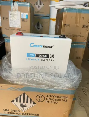 Cworth 1.2kwh 100ah 12v With Digital Display,