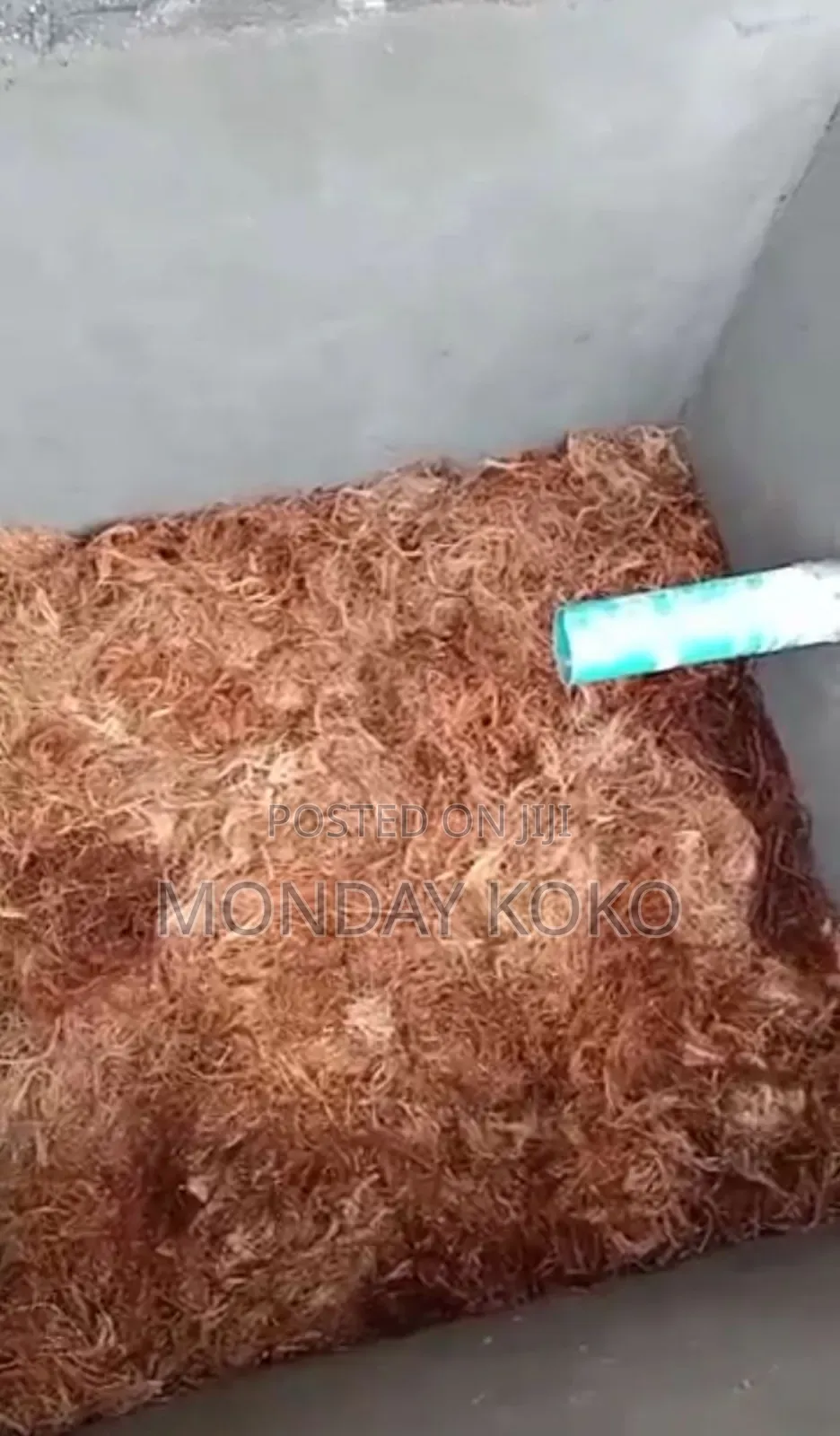 Modern Biodigester Installation Service