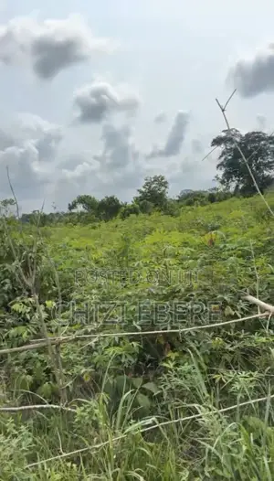 2 Plots of Land at Omuike Aluu