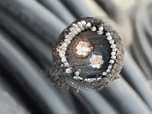 2x6mm2 Armoured Cable
