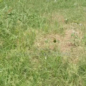 Commercial Half Plot on Major Road for Sale