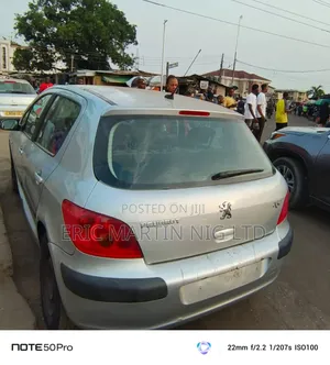 Peugeot 307 2008 Silver
