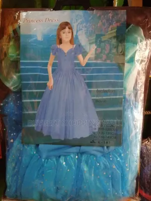 Princess Cartoon Character Costume