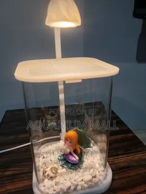 Table Top Aquarium