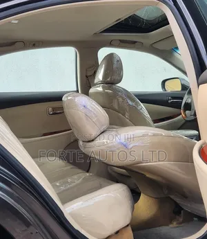 Lexus ES 350 2010 Gray