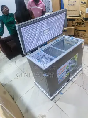 Deep Freezer 250l Snowsea Chest Unit